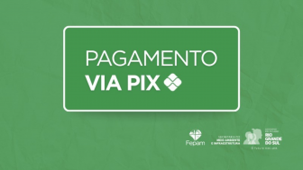 Logo do Pagamento via Pix